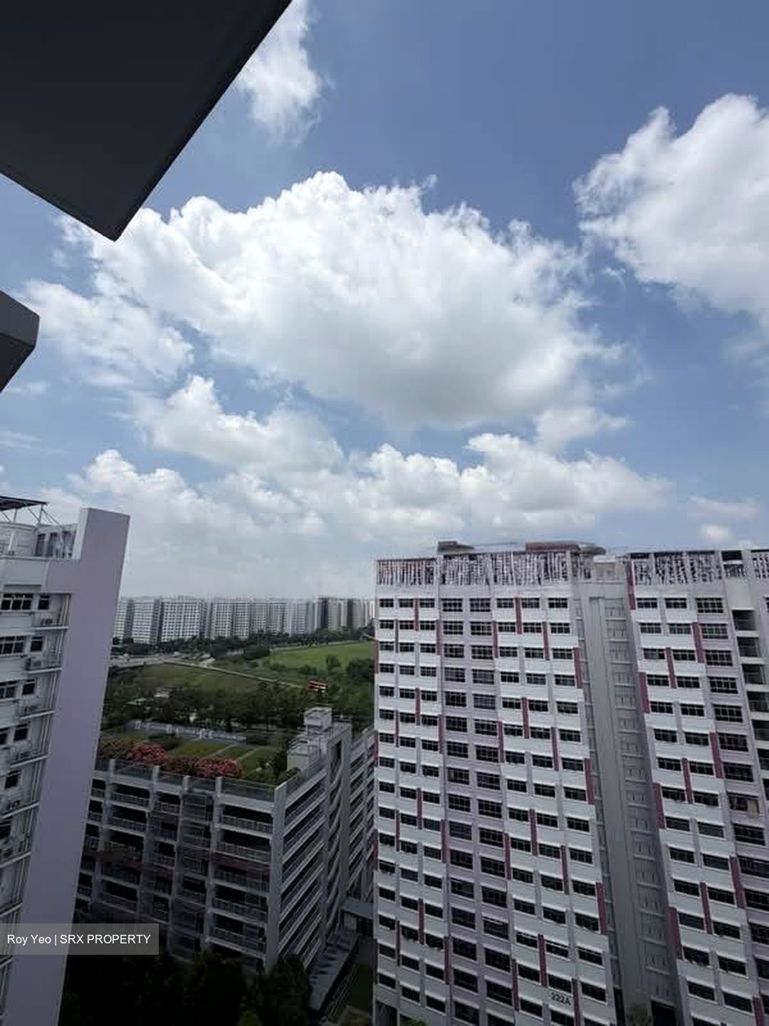 Blk 224A Matilda Edge (Punggol), HDB 4 Rooms #582949341